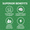 Ginkgo Biloba Extreme - 60ct