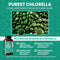 Pure Chlorella Supreme - 500ct