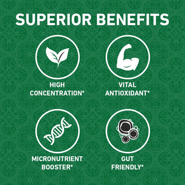 Fresh Leaf Pure Moringa 1,100mg - 120ct