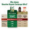 LABO Nutrition Bioactive Organic Cordyceps Ultra for Respiratory & Immune Health