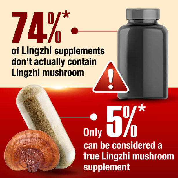 LABO Nutrition Bioactive Organic Lingzhi for Immunity Calm Energy Sleep Support