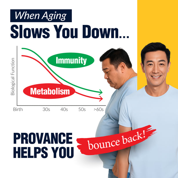 LABO Nutrition PROVance 90s