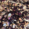 Bloom 8 Nespresso Compatible Capsules