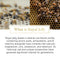 Manuka South Extra Strength Royal Jelly vitamins amino acid antioxidant for Skin Joint Heart Brain Immunity [160's]