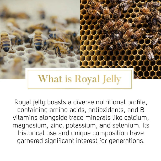 Manuka South Extra Strength Royal Jelly vitamins amino acid antioxidant for Skin Joint Heart Brain Immunity [160's]