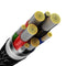 Baseus Glimmer Series Fast Charging Data Cable USB to Type-C 100W 2m Black