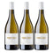 [BUNDLE OF 3] ARZUAGA FAN D.ORO BLANCO 2023 750ML