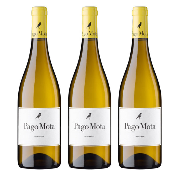[BUNDLE OF 3] ARZUAGA PAGO MOTA 2024 750ML