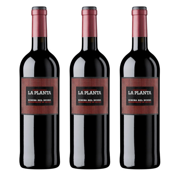 [BUNDLE OF 3] ARZUAGA LA PLANTA 2023 750ML