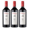 [BUNDLE OF 3] KALLESKE MOPPA SHIRAZ 2024 750ML