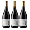 [BUNDLE OF 3] SILVER HEIGHTS JIAYUAN PINOT NOIR 2023 750ML