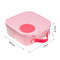 Mini Lunchbox - Flamingo fizz