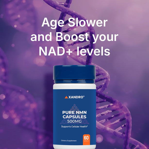 Xandro Pure NMN Capsules 500 mg