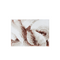 Charles Millen Signature Collection Palais Series Chiaros Cotton Canvas Mat With Anti Slip Backing