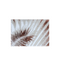 Charles Millen Signature Collection Palais Series Folium Cotton Canvas Mat With Anti Slip Backing