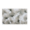 Charles Millen Signature Collection Palais Series Brielle Cotton Canvas Mat With Anti Slip Backing