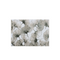 Charles Millen Signature Collection Palais Series Brielle Cotton Canvas Mat With Anti Slip Backing