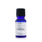 Spice Of Beauty Essential Oil