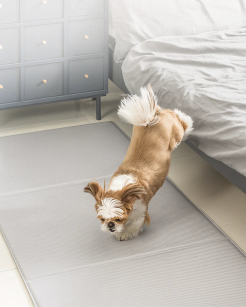 Dfang Jump Mat 14mm ( Folding Type-70 )