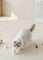 Dfang Comfort Pet Mat 7mm ( Folding Type-140 cm )