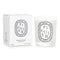 Scented Candle - Figuier (fig Tree) -