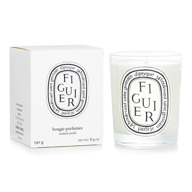 Scented Candle - Figuier (fig Tree) -