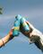 NOCCO Canned Energy Drink 330ml (Box of 24)