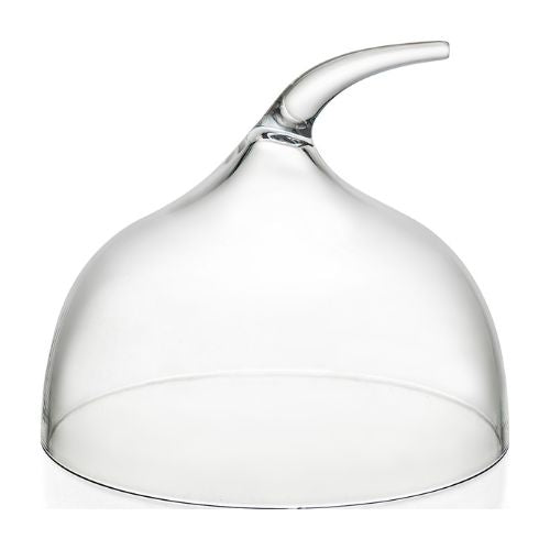 ToTT Polycarbonate Dome Cake Cover For Cake Stand Cg08A Ø20.7xH18.1cm, Clear