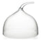 ToTT Polycarbonate Dome Cake Cover For Cake Stand Cg12A Ø30.8xH27.8cm, Clear