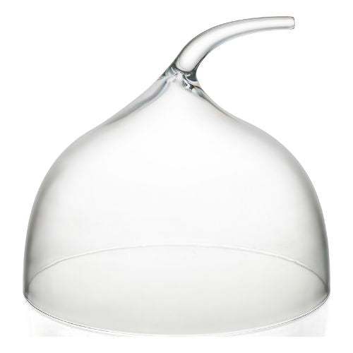 ToTT Polycarbonate Dome Cake Cover For Cake Stand Cg12A Ø30.8xH27.8cm, Clear