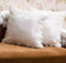 White Lace With French Rose Embroidered Cushion Covers Set of 2