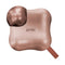 Envol pritti Hypoallergenic Cold Plasma Beauty Device(White Gold Choco)[International Shipping]