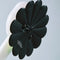 NewJeansX Takashi Murakami Light Stick Accessory Flower
(International Shipping)