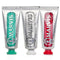 3 Flavours Box: 1xclassic Strong Mint Toothpaste+1xwhitening Mint Toothpaste+1xcinnamon Mint Toothpaste - 3pcs