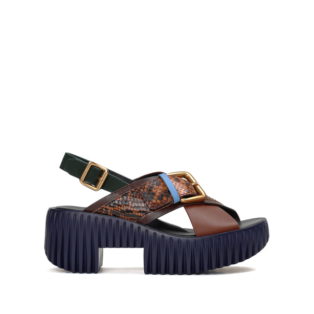 4CCCCEES Plia Juno Dandelion-Carved Ultra-Comfy Wide Cross-Strap Sandals with Bold Metallic Buckles in Luxe Coffee Nappa and Embossed Leather 4CS107003