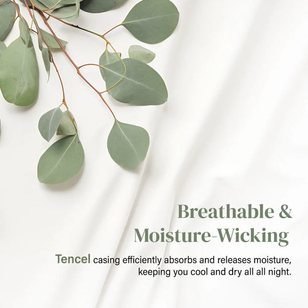 Bellami ZZEN Tencel DownFeel Bolster Cooling Hypoallergenic 1800g