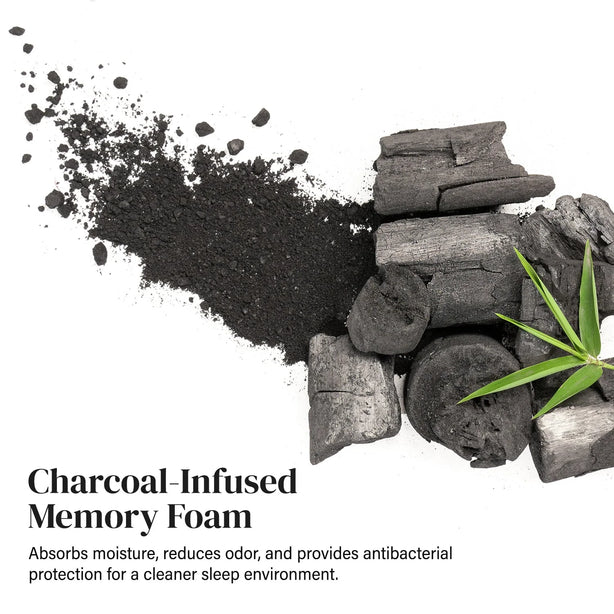 Intero Visco-AIR Premium BambooPRO Charcoal Memory Foam Pillow (Duo-Core)