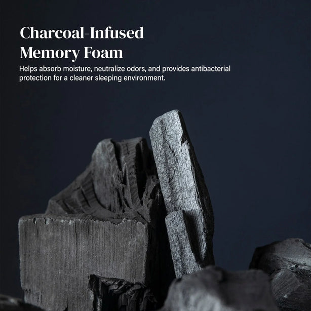 Intero CoolTech Air Pass Charcoal Memory Foam Pillow – Comfort & Contour