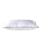 Bellami ZZEN Tencel DownFeel Boudoir Pillow 400g (Half Vacuum Pack)