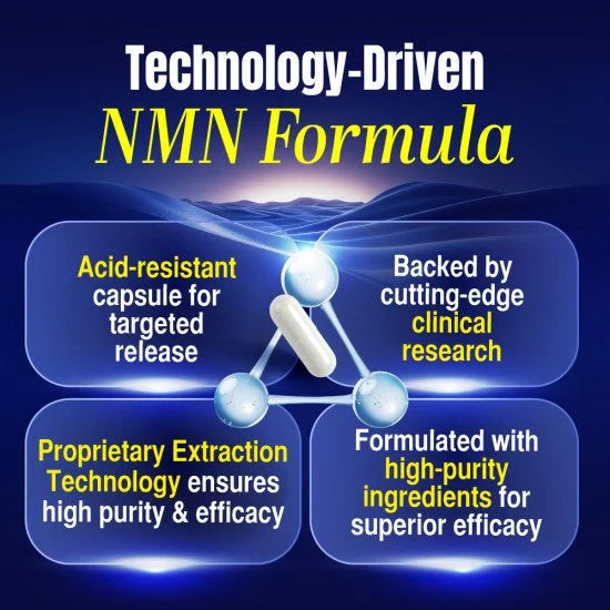 LABO Nutrition Le Ageless NMN+ 600mg with NAD+ Boosters Ginseng Extract & Trans-Resveratrol Supplement - Youth & Vitality Rejuvenator for Cellular Repair Anti Aging Heart Health Energy Metabolism Brain & Memory Antioxidants Sleep Quality • Halal • 6