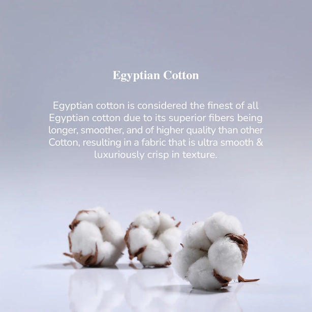 Bellami Hotel Collection Speedy 1000TC Egyptian Cotton Bedding Set Luxury Bedsheets