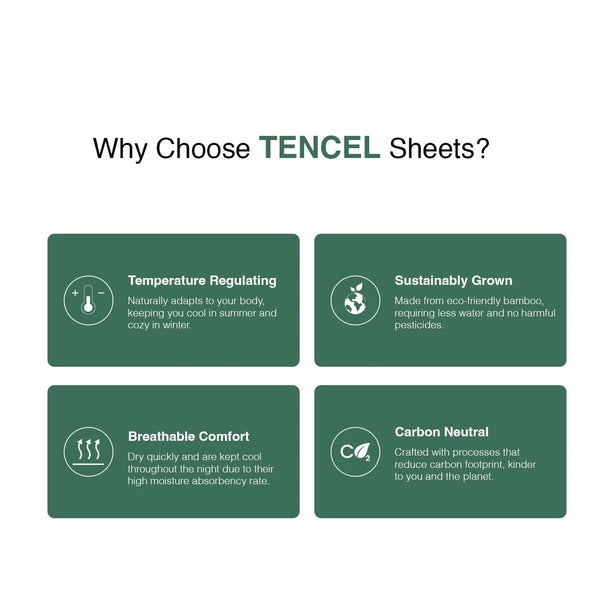 Intero Lumier Micro Tencel Solid Eniz Bedding Collection - 1500TC
