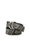 Balenciaga D Ring Belt in jacquard canvas - Khaki/Grey