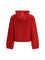 Balenciaga Laurel Classic zip-up Hoodie - Red/Black