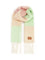 Loewe Alpaca Blend Scarf - Multi