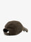 Balenciaga Cotton hat - Khaki