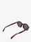 Celine Acetate sunglasses - Classic Havana
