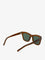 Saint Laurent Acetate sunglasses - Brown Brown Greem