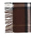 Burberry Cashmere Archive Check Scarf - Treacle Brown