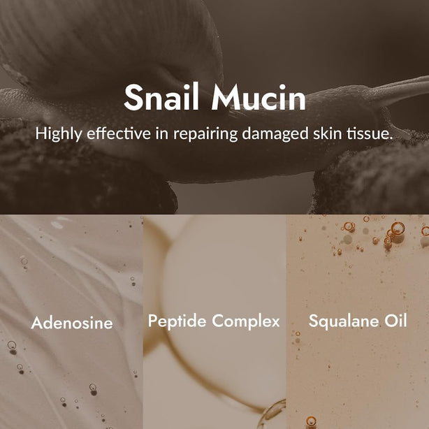 [MIZON] Snail Line Snail Repair Eye Cream 25ML [International Shipping]